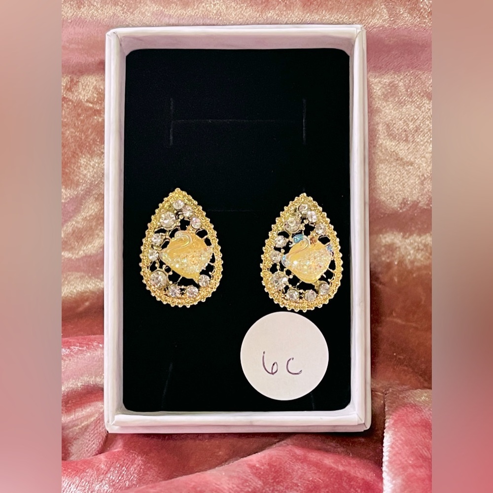 Fashion Earrings #6c